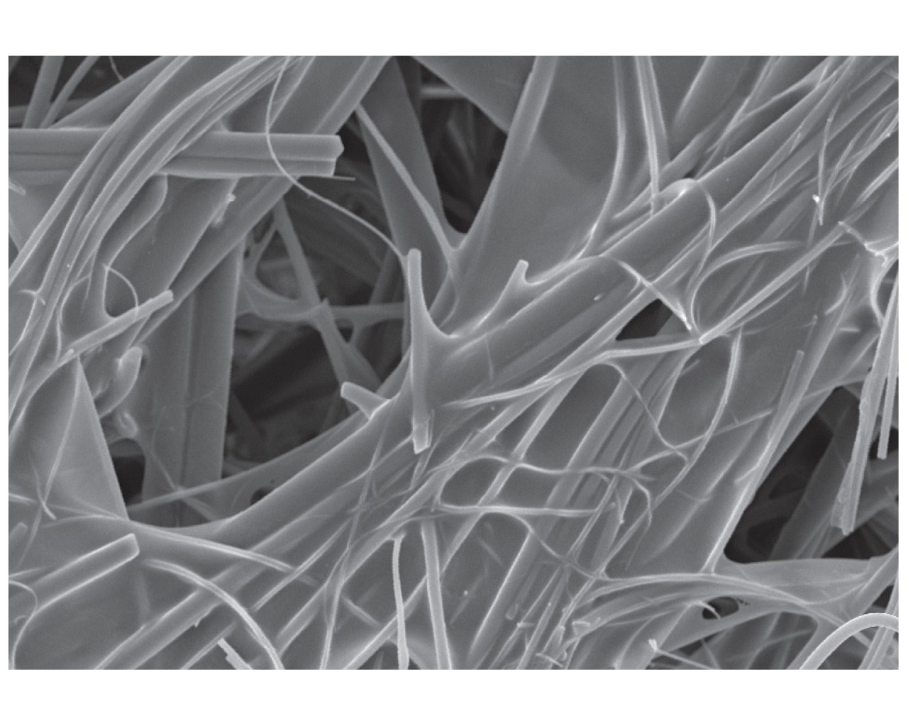  图 1。聚酯/玻璃过滤介质经过 500 倍的 SEM 图像显示了纤维之间的树脂 “织带”。 