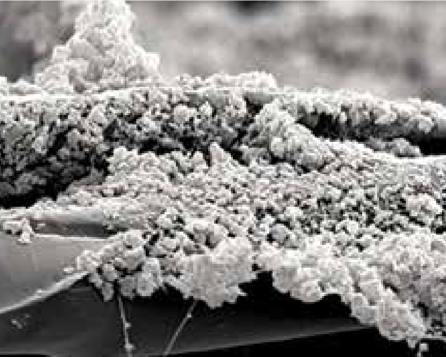 表面过滤方式的 Ultra-Web 滤芯